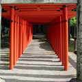 A gateway to a Shinto shrine