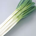 A green onion