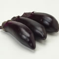 An eggplant
